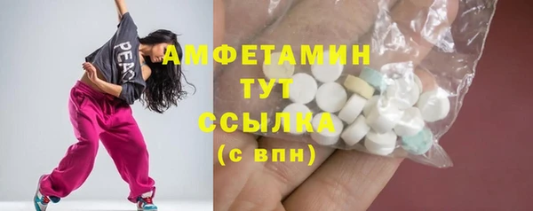 индика Богданович