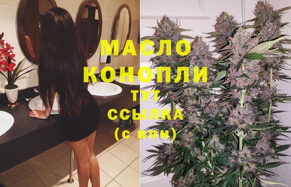 индика Богданович